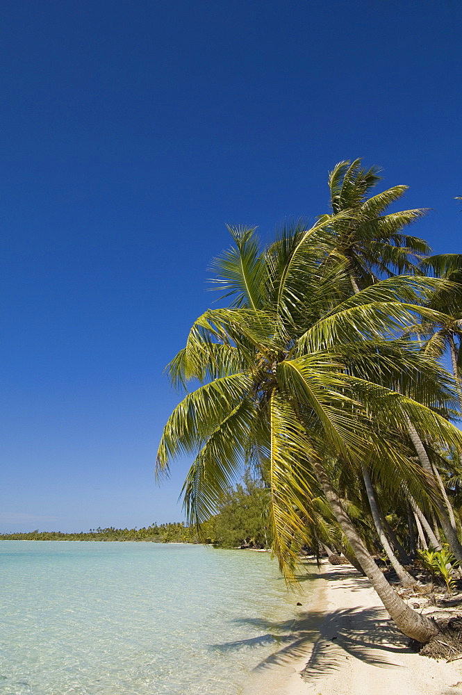 Fakarawa, Tuamotu Archipelago, French Polynesia, Pacific Islands, Pacific