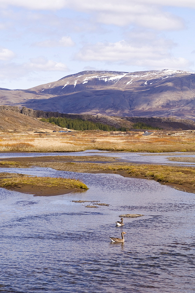 Thingvellir National Park, UNESCO World Heritage Site, Iceland, Polar Regions