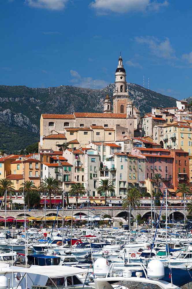 St. Michel church and the old town of Menton, Provence-Alpes-Cote d'Azur, French Riviera, France, Mediterranean, Europe 