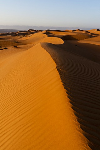 Wahiba Sands desert, Oman, Middle East