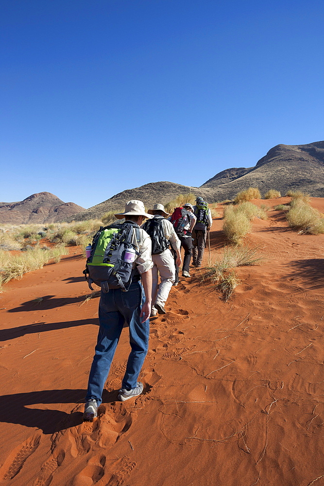 Traillists on Tok Tokkie trail, NamibRand Nature Reserve, Namibia, Africa