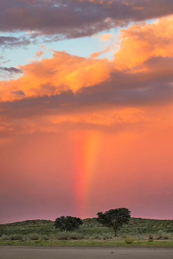 Sunset and storm over Kgalagadi Transfrontier Park, Northern Cape, South Africa, Africa