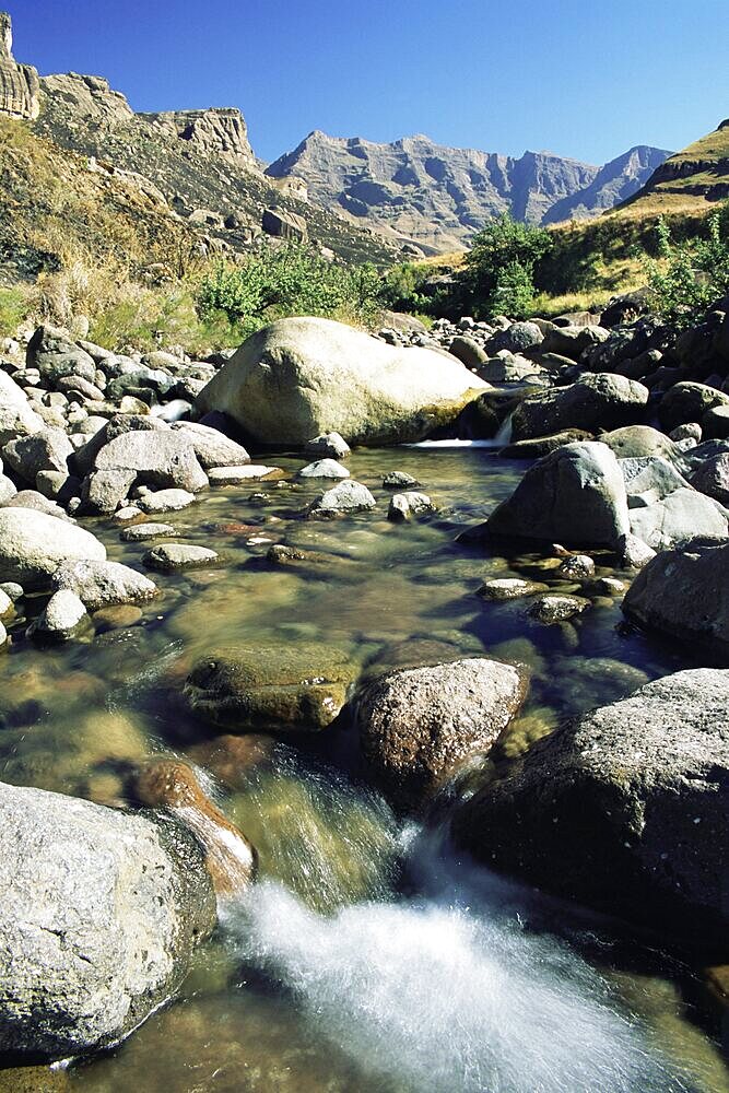 Garden Castle Reserve, Drakensberg Mountains, KwaZulu-Natal, South Africa, Africa