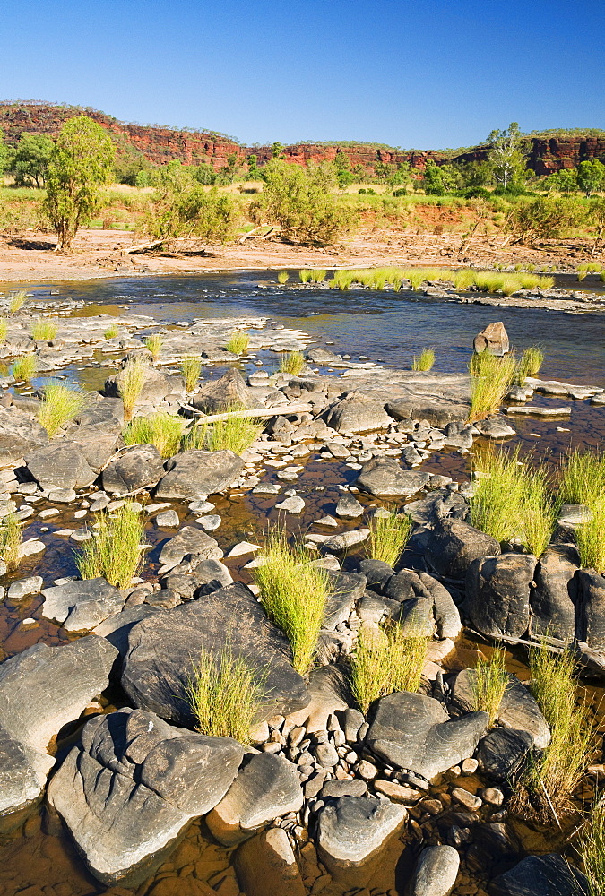 Victoria River, Northern Territory, Australia, Pacific