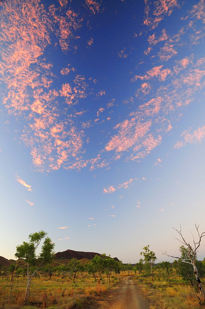 Sunset along the Spring Creek Track, Kimberley, Western Australia, Australia, Pacific