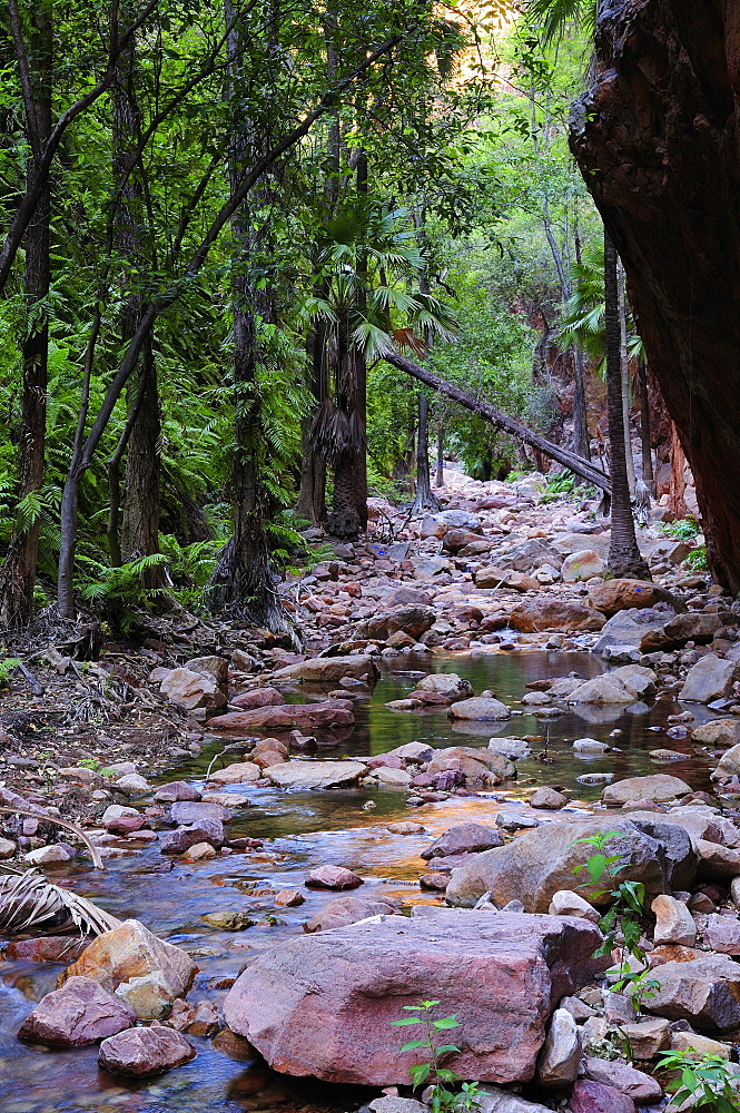 El Questro Gorge, Kimberley, Western Australia, Australia, Pacific