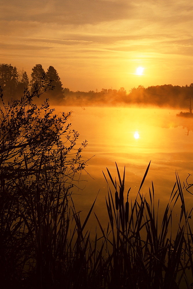 Schwenninger Moos at sunrise, with B/Y Polarizer, Schwenningen, Germany, Europe