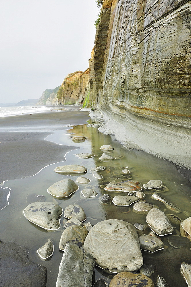 White Cliffs, Parininihi, Taranaki, North Island, New Zealand, Pacific