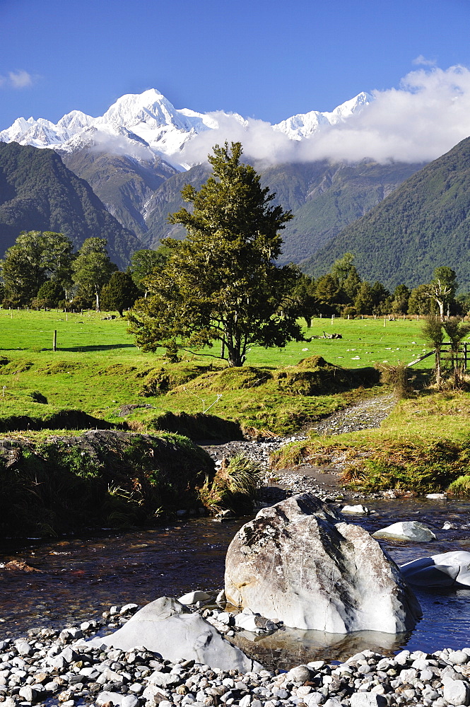 Mount Tasman and Cook Flat, Westland Tai Poutini National Park, UNESCO World Heritage Site, West Coast, South Island, New Zealand, Pacific