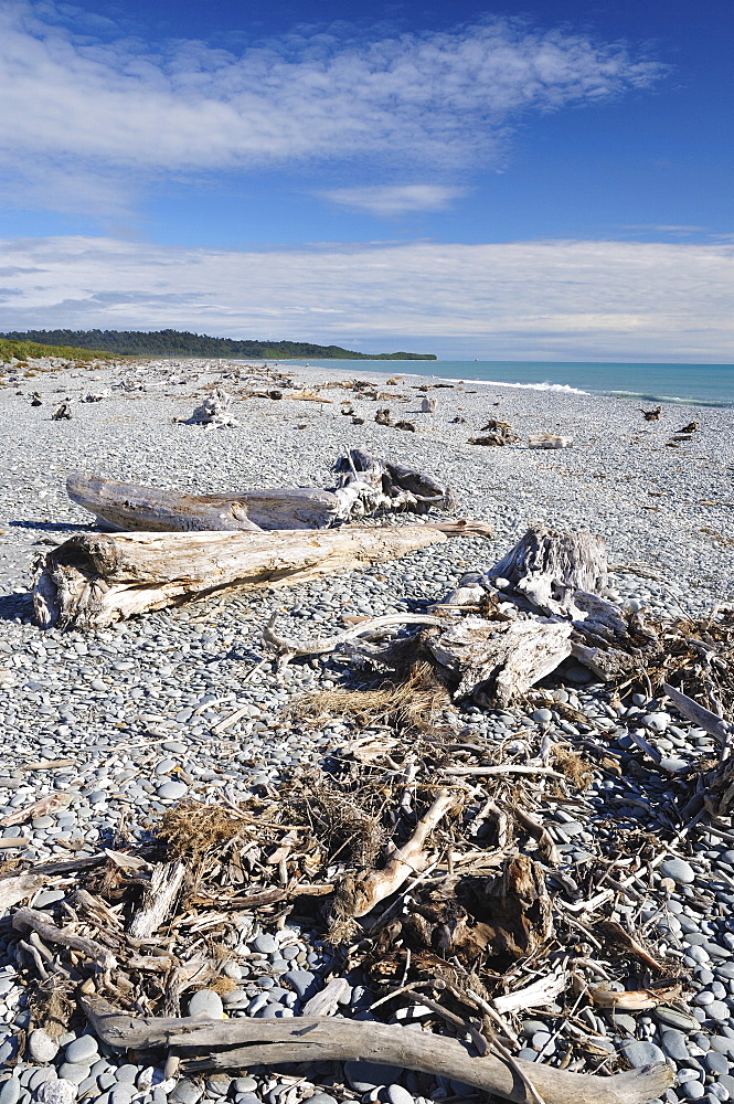 Driftwood, Gillespies Beach, Westland Tai Poutini National Park, UNESCO World Heritage Site, West Coast, South Island, New Zealand, Pacific