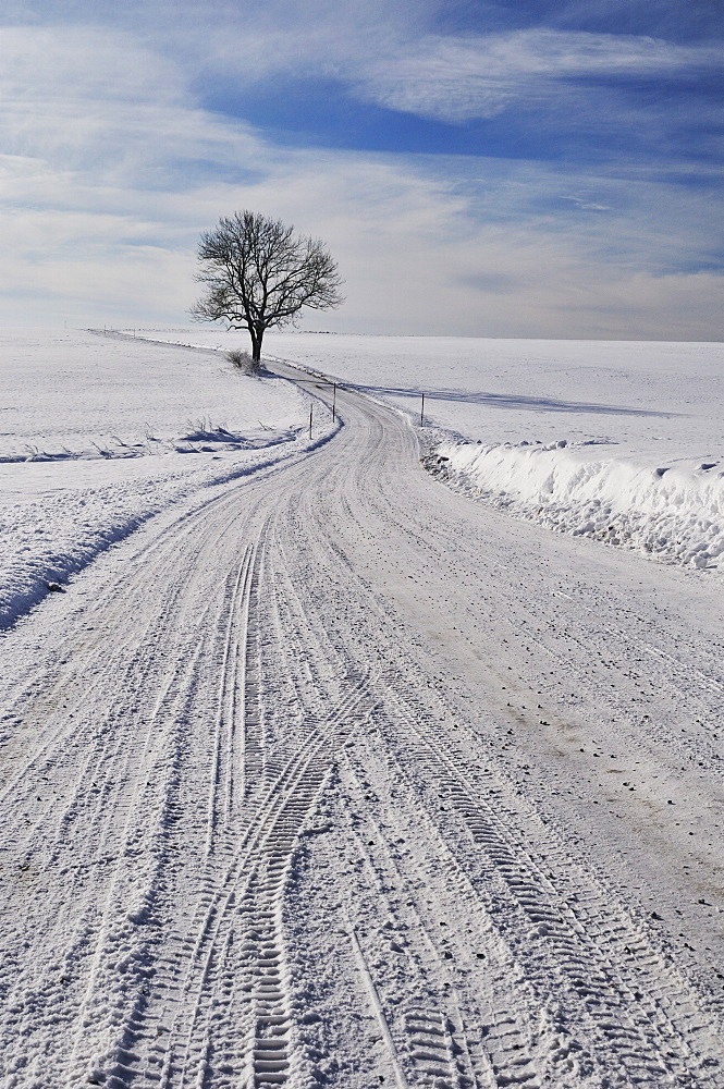 Winter landscape, near Villingen-Schwenningen, Black Forest-Baar (Schwarzwald-Baar) district, Baden-Wurttemberg, Germany, Europe