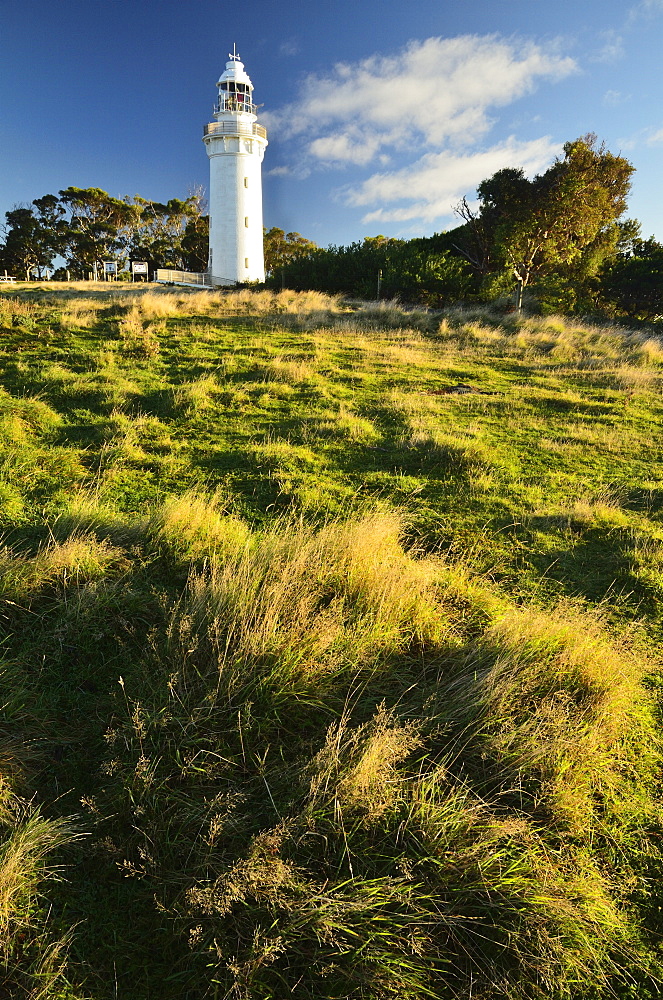 Lighthouse, Table Cape, Tasmania, Australia, Pacific