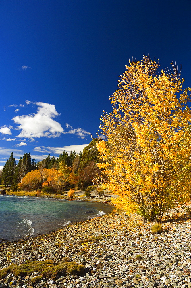 Shore of Lake Wanaka, Wanaka, Central Otago, South Island, New Zealand, Pacific