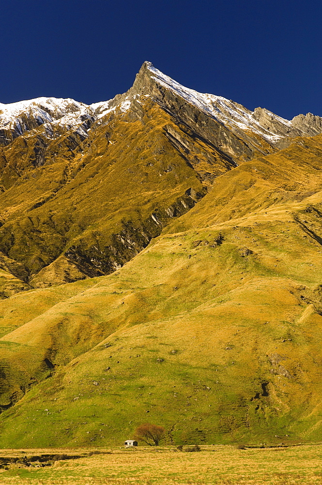 Sharks Tooth Peak and Raspberry Hut, Matukituki Valley, Mount Aspiring National Park, Central Otago, South Island, New Zealand, Pacific