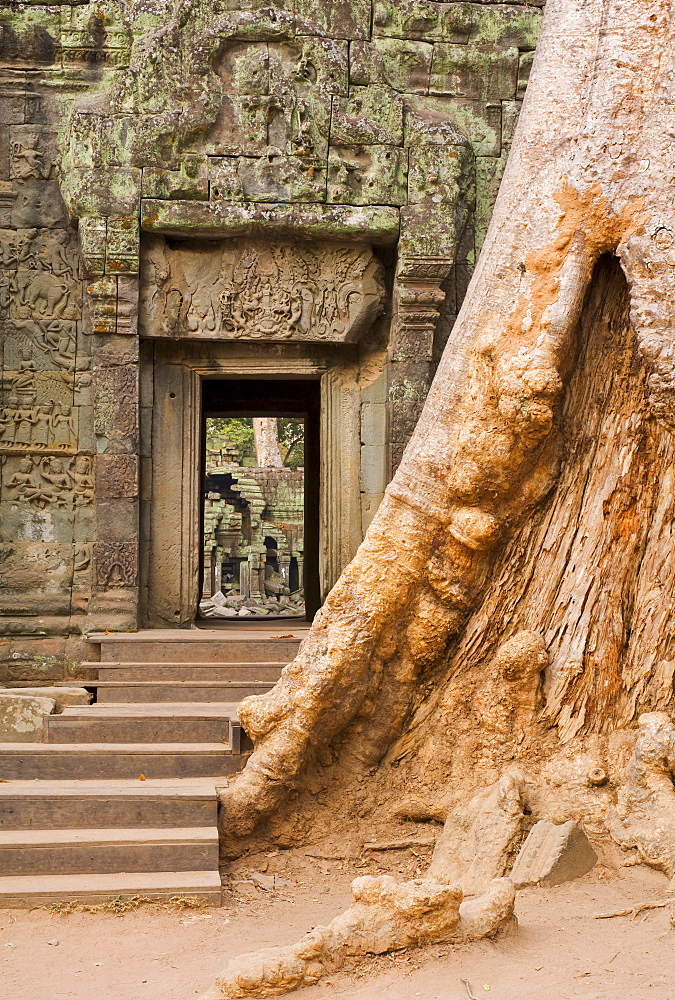 Ta Prohm temple, Angkor, UNESCO World Heritage Site, Siem Reap, Cambodia, Indochina, Southeast Asia, Asia