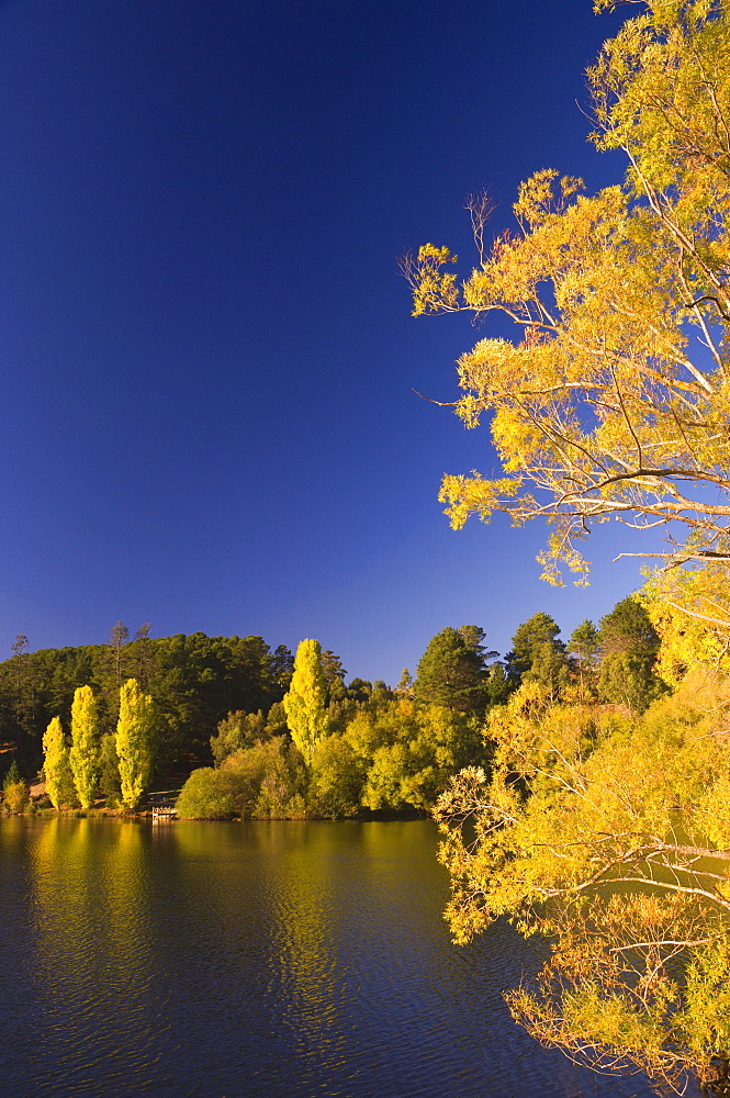 Lake Daylesford, Daylesford, Victoria, Australia, Pacific