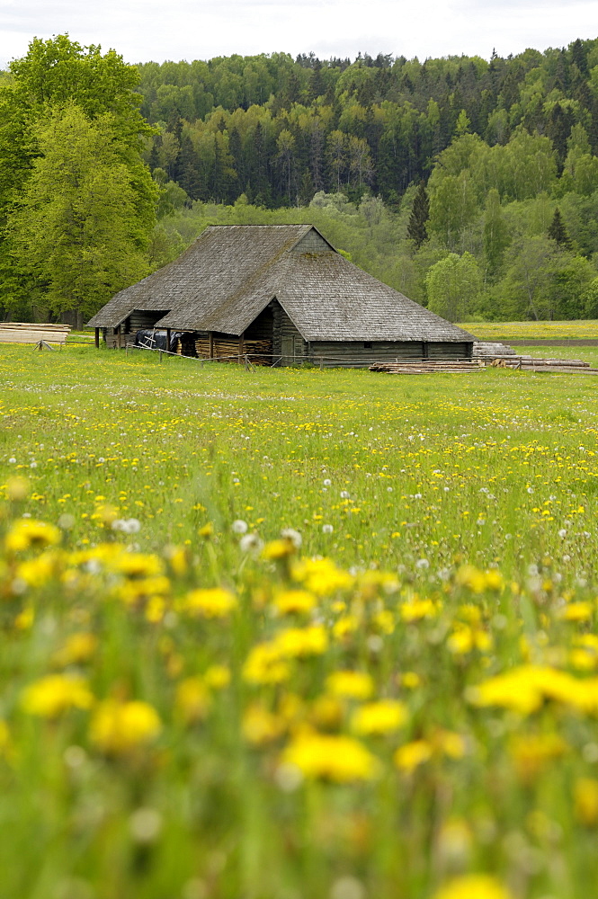 Typical Latvian farmstead, near Ligatne, Gauja National Park, Latvia, Baltic States, Europe