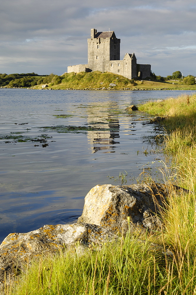 Dunguaire (Dungory) Castle, Kinvarra, County Galway, Connacht, Republic of Ireland, Europe