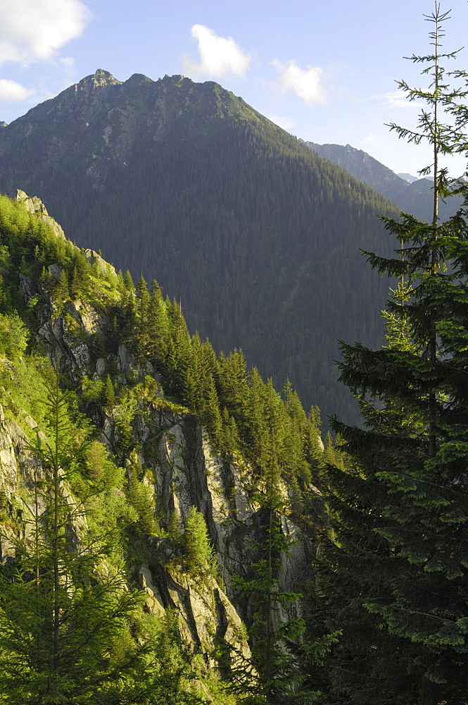 Fagaras Mountains, Transylvanian Alps, Romania, Europe