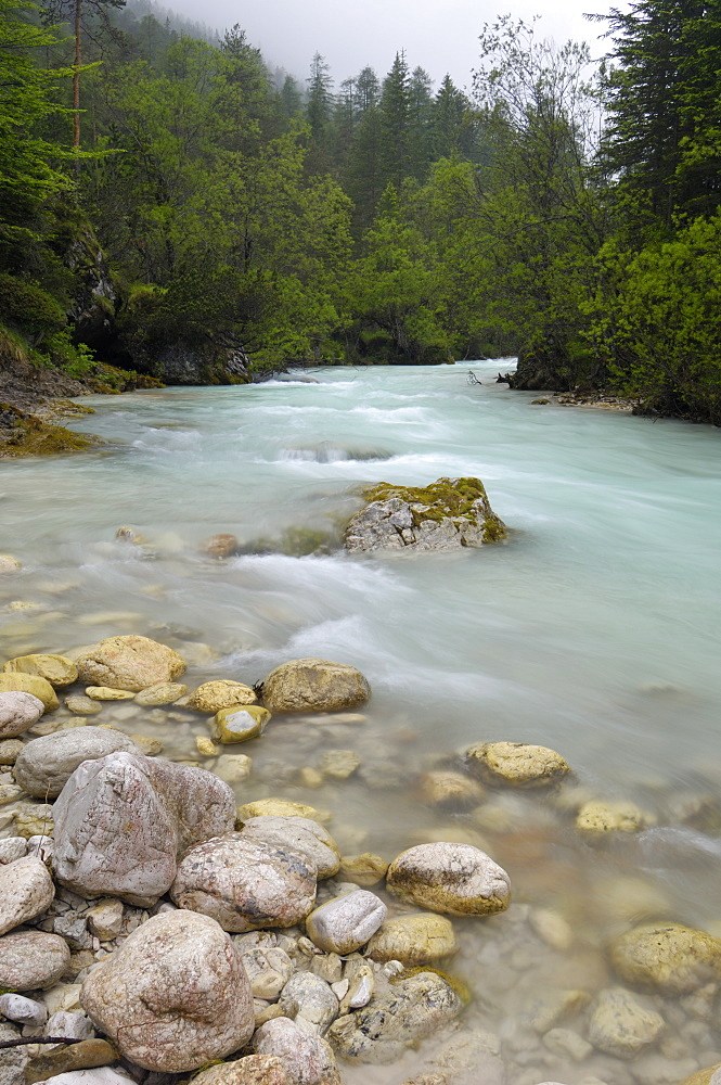 Alpine river, T. Boite, near Cortina D'Ampezzo, Dolomites, Veneto, Italy, Europe