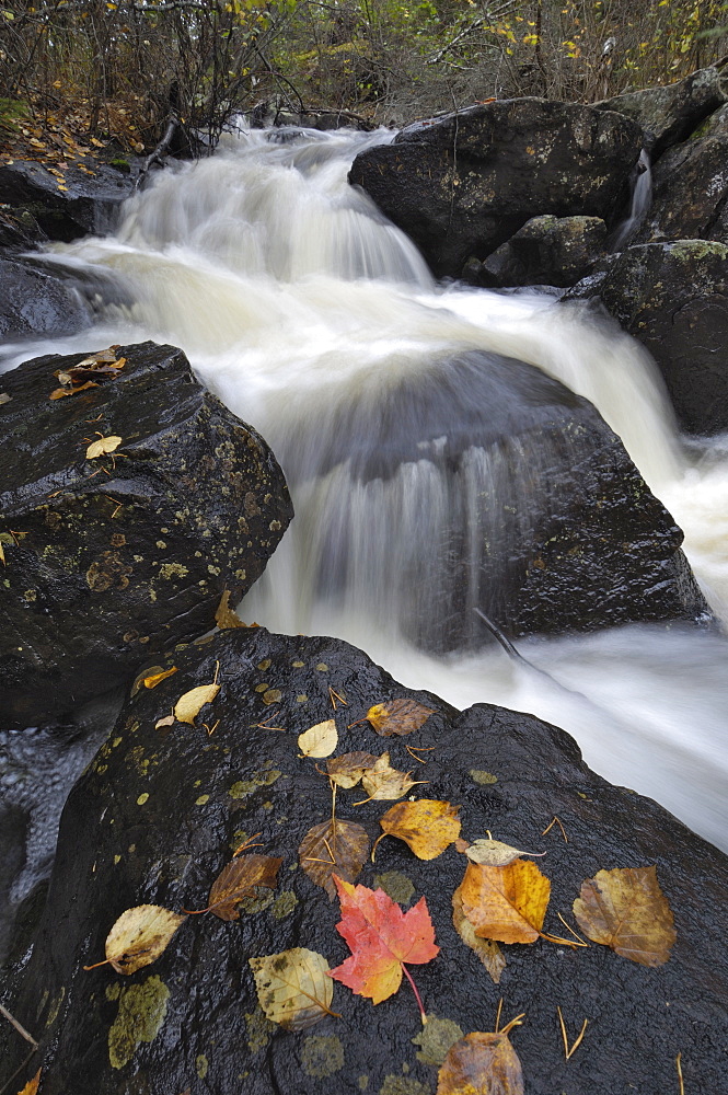 Waterfall, Louse River, Boundary Waters Canoe Area Wilderness, Superior National Forest, Minnesota, United States of America, North America