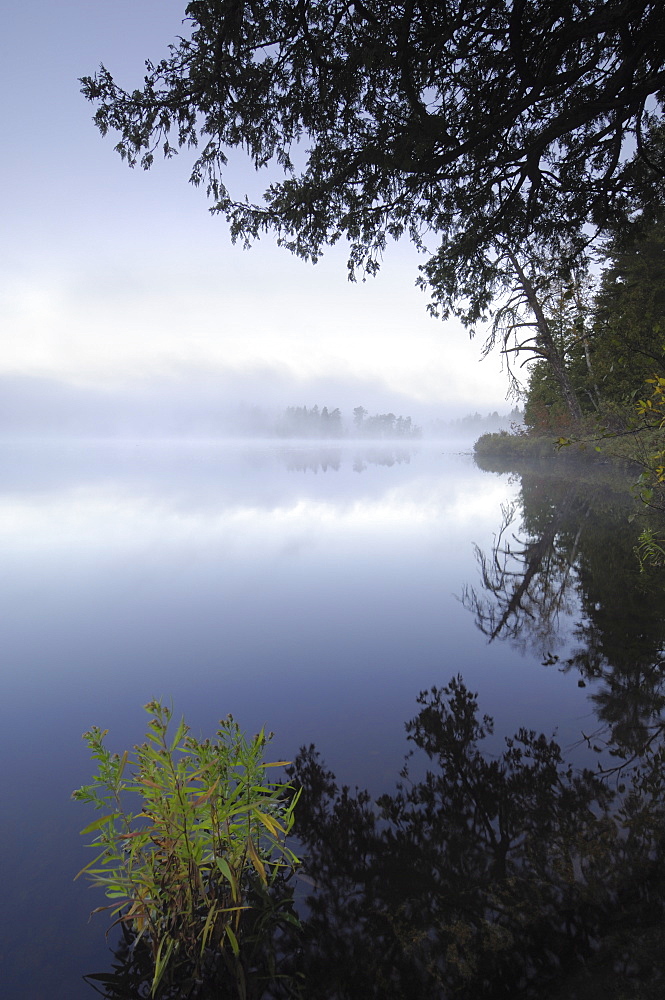 Misty morning, Malberg Lake, Boundary Waters Canoe Area Wilderness, Superior National Forest, Minnesota, United States of America, North America