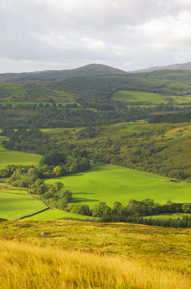 Fleet Valley National Scenic Area, from the Doon of Culreoch, Dumfries and Galloway, Scotland, United Kingdom, Europe