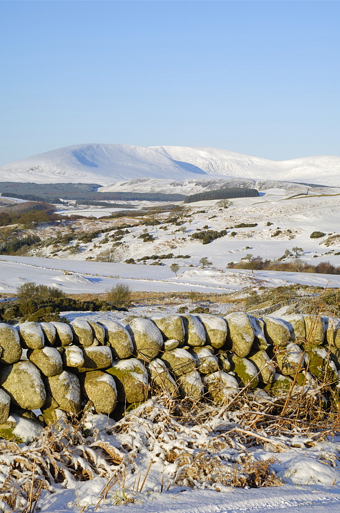 Cairnsmore of Fleet in winter snow, from Knocktinkle Viewpoint, Dumfries and Galloway, Scotland, United Kingdom, Europe