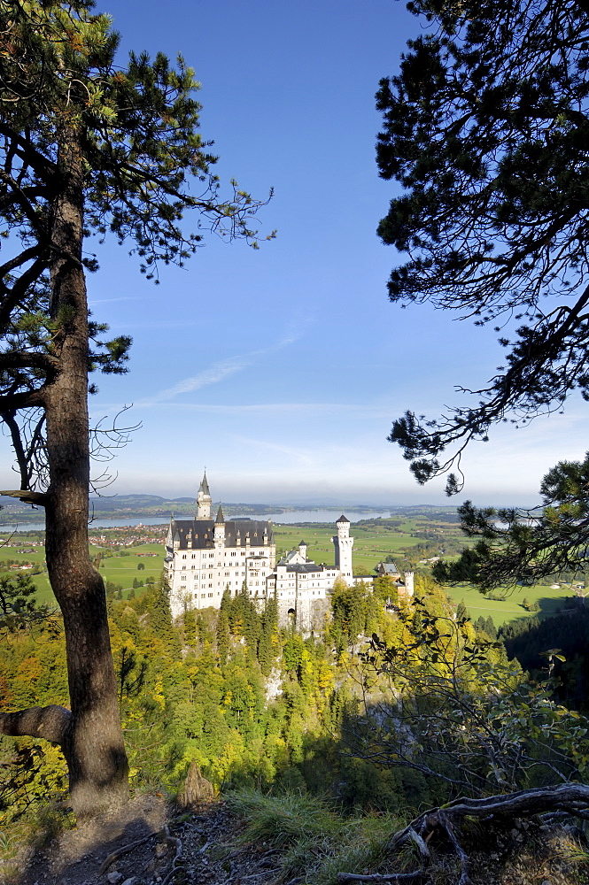 Schloss Neuschwanstein, fairytale castle built by King Ludwig II, near Fussen, Bavaria (Bayern), Germany, Europe