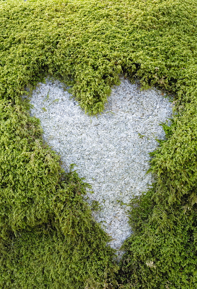 Love Heart shape in moss on granite bolder