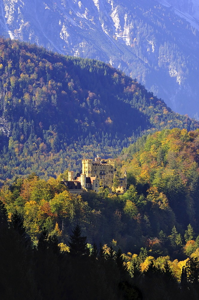 Schloss Hohenschwangau, castle near Fussen, Bavaria (Bayern), Germany, Europe