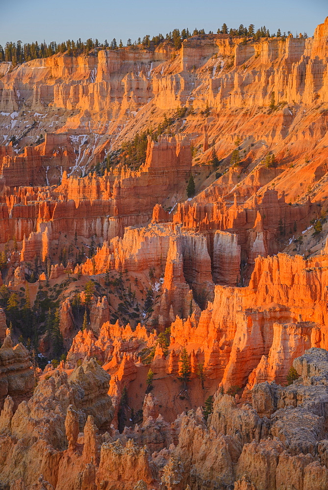 Bryce Canyon at dawn, from Sunset Point, Bryce Canyon National Park, Utah, United States of America, North America