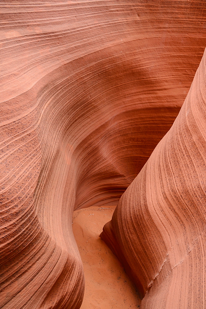 Rattlesnake Canyon, near Page, Arizona, United States of America, North America