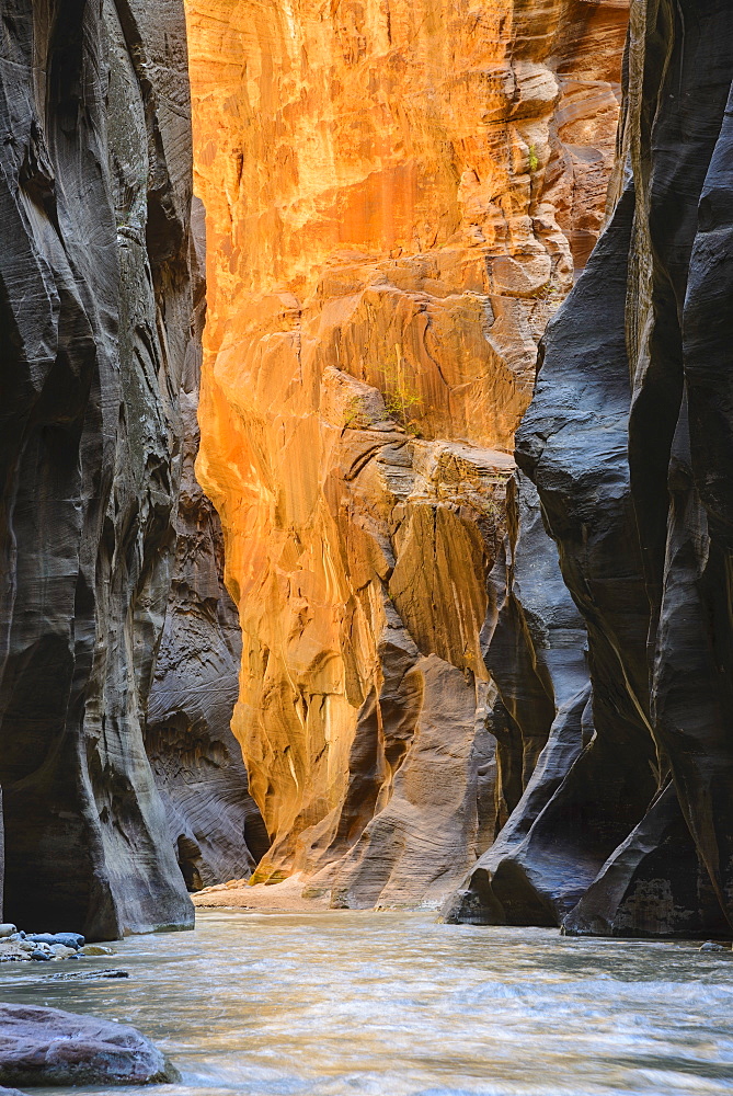 Virgin River Narrows, Zion National Park, Utah, United States of America, North America