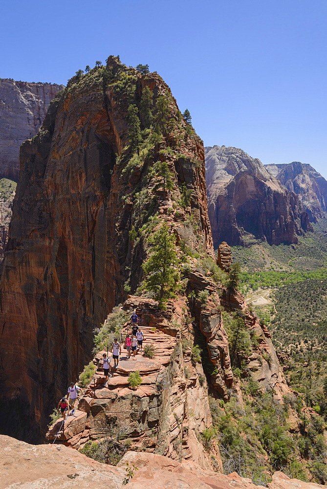 Trail to Angels Landing, Zion National Park, Utah, United States of America, North America