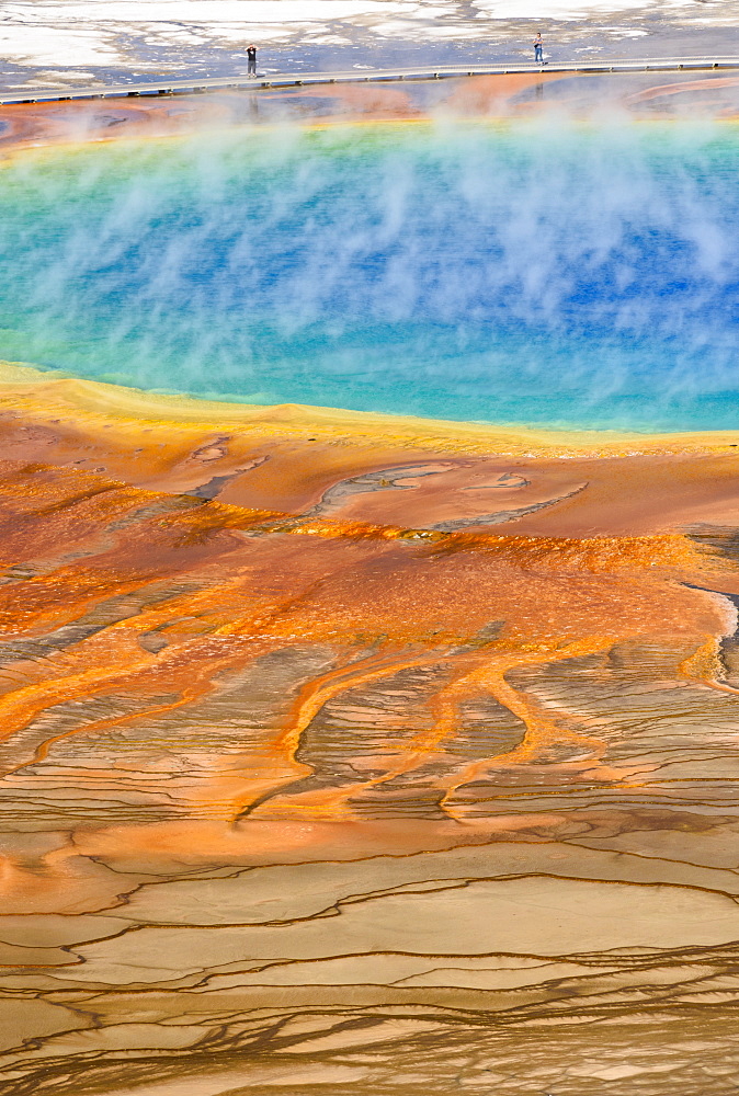 Grand Prismatic Spring, Midway Geyser Basin, Yellowstone National Park, UNESCO World Heritage Site, Wyoming, United States of America, North America