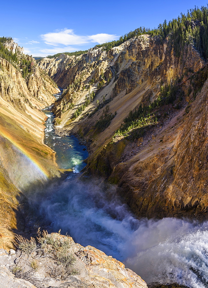 Grand Canyon of the Yellowstone River from Brink of the Lower Falls, Yellowstone National Park, UNESCO World Heritage Site, Wyoming, United States of America, North America