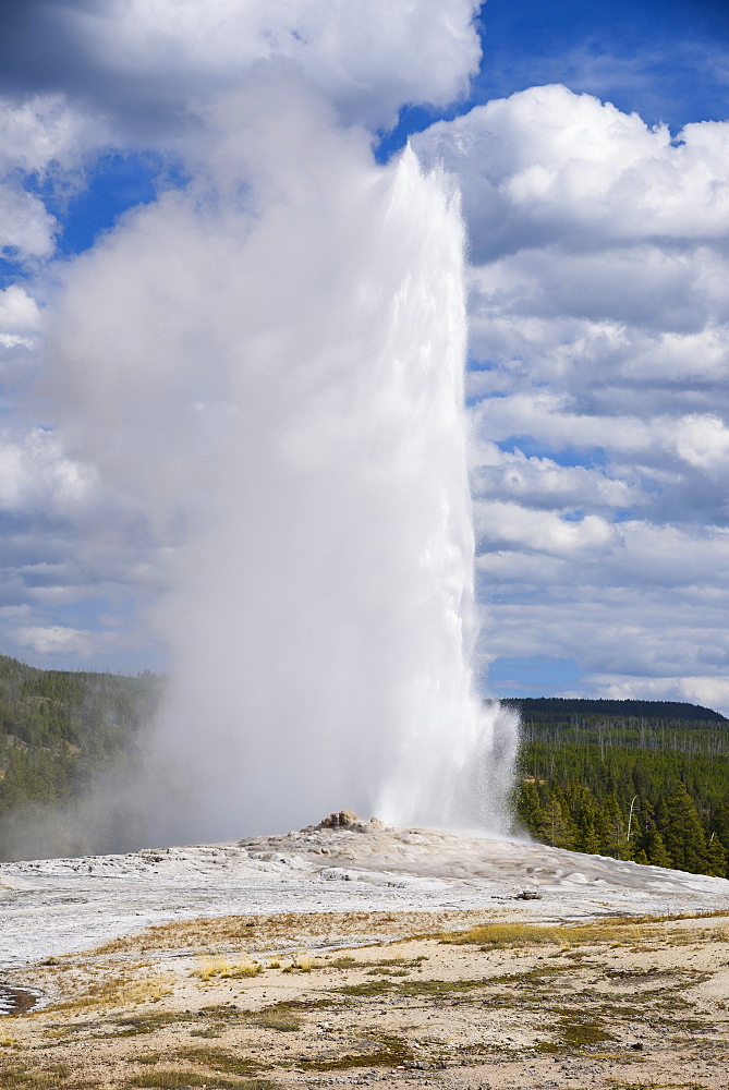 Old Faithful Geyser, Upper Geyser Basin, Yellowstone National Park, UNESCO World Heritage Site, Wyoming, United States of America, North America