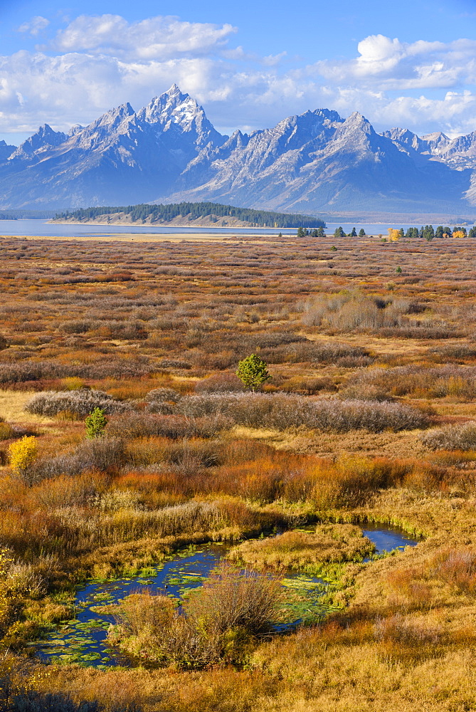 Willow Flats and Teton Range, Grand Tetons National Park, Wyoming, United States of America, North America