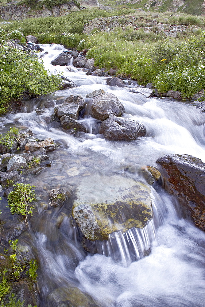 Cascades, American Basin, Uncompahgre National Forest, Colorado, United States of America, North America