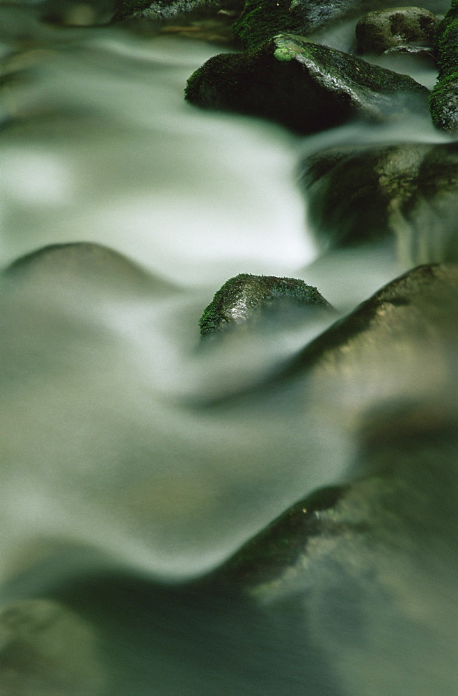 Close-up of water over rocks, Great Smoky Mountains National Park, UNESCO World Heritage Site, Tennessee, United States of America, North America