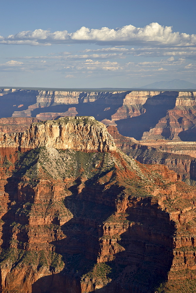 Point Sublime, North Rim, Grand Canyon National Park, UNESCO World Heritage Site, Arizona, United States of America, North America