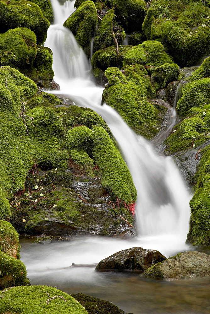 Cascade on Falls Creek, Chugach State Park, Alaska, United States of America, North America