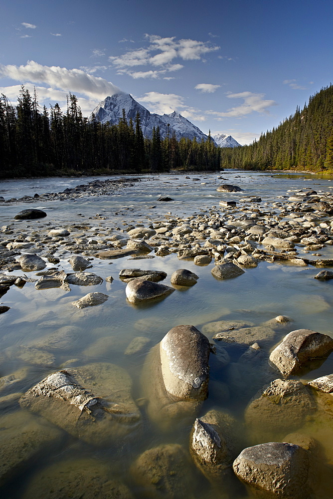 Whirlpool River, Jasper National Park, UNESCO World Heritage Site, Rocky Mountains, Alberta, Canada, North America