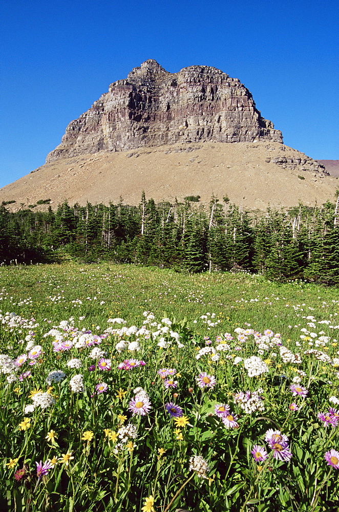 Logan Pass, Glacier National Park, Montana, United States of America, North America