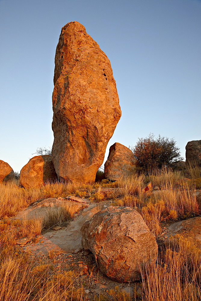 Boulder at sunset, City of Rocks State Park, New Mexico, United States of America, North America