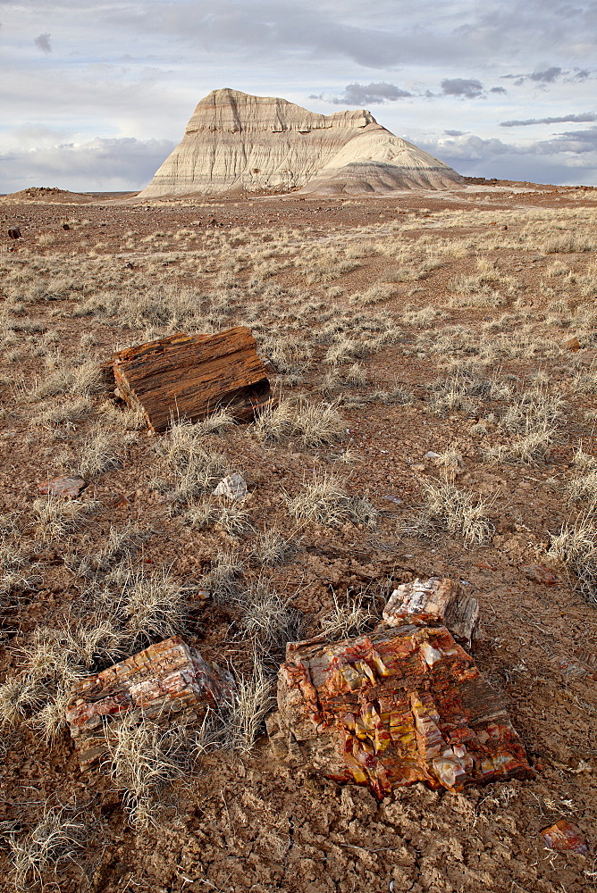 Petrified wood and an eroded hill, Petrified Forest National Park, Arizona, United States of America, North America