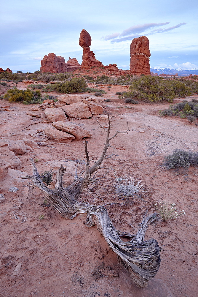 Balanced Rock at dusk, Arches National Park, Utah, United States of America, North America