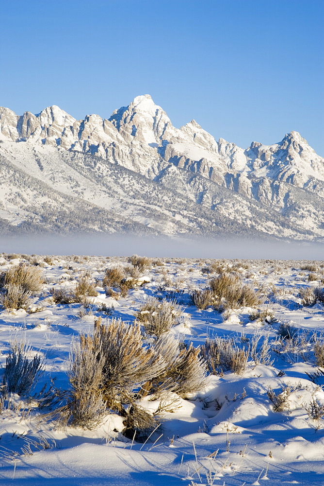 Tetons with first light in the valley with snow, Grand Teton National Park, Wyoming, United States of America, North America