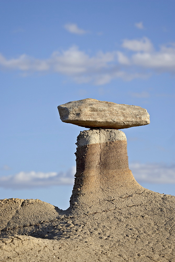 Hoodoo, Bisti Wilderness, New Mexico, United States of America, North America